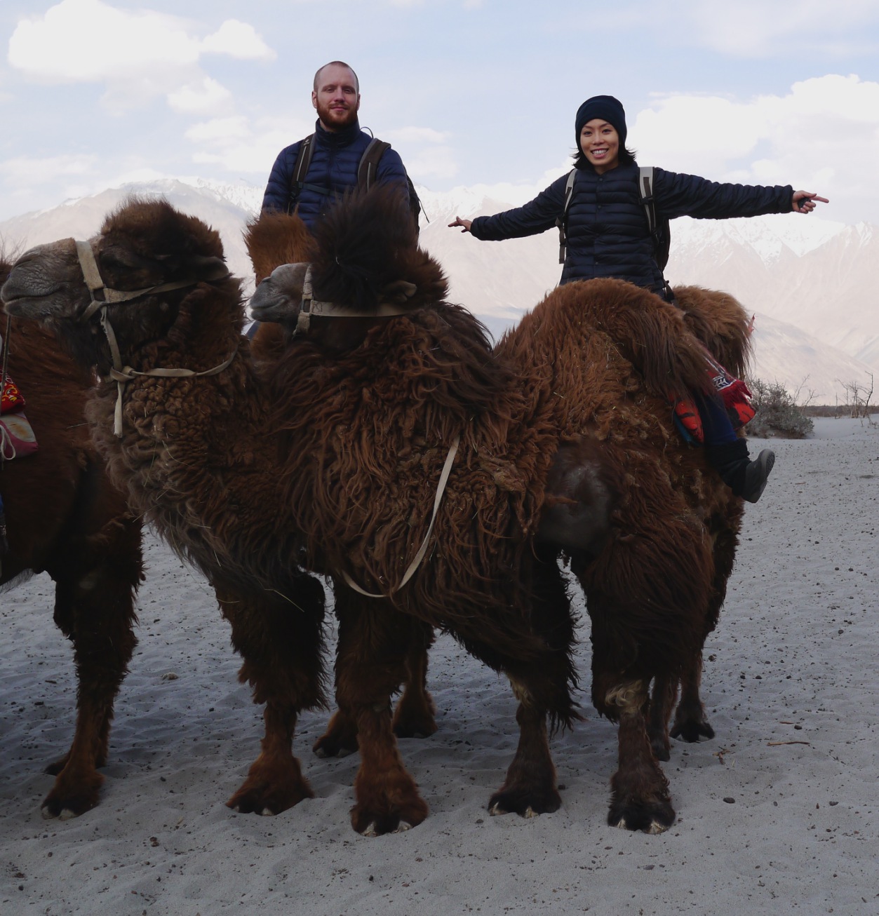 pud-and-karsten-on-bactrian-camels